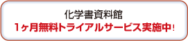 トライアルサービス実施中